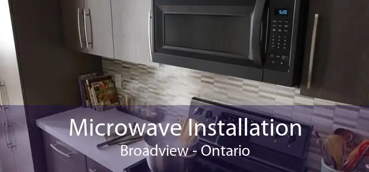 Microwave Installation Broadview - Ontario