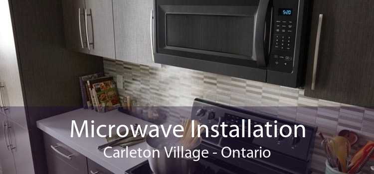 Microwave Installation Carleton Village - Ontario