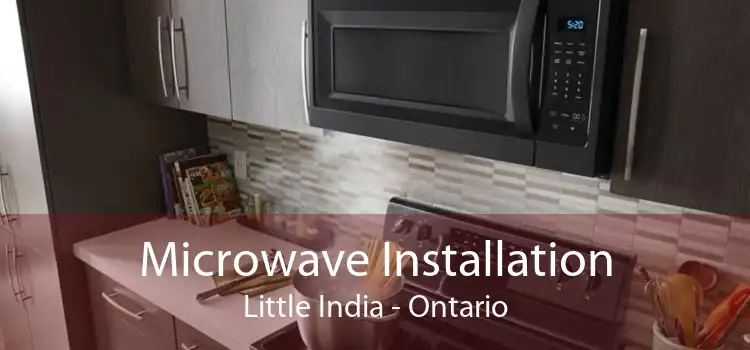 Microwave Installation Little India - Ontario