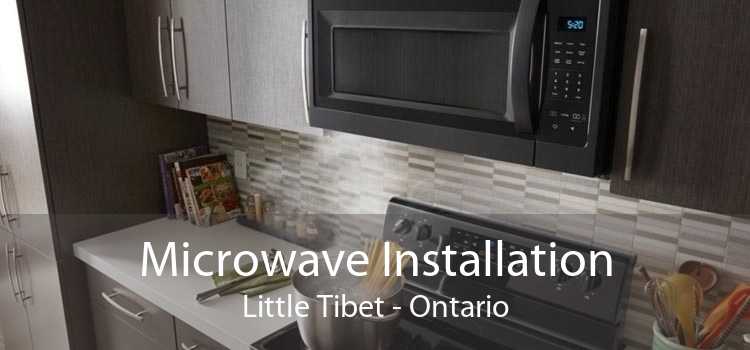 Microwave Installation Little Tibet - Ontario