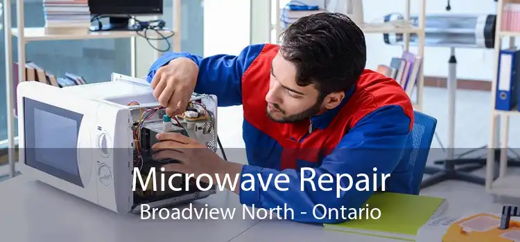Microwave Repair Broadview North - Ontario