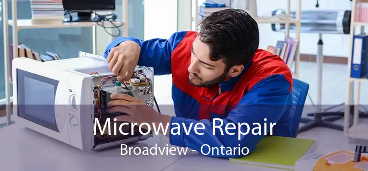 Microwave Repair Broadview - Ontario