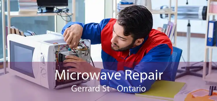 Microwave Repair Gerrard St - Ontario