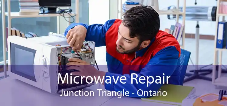 Microwave Repair Junction Triangle - Ontario