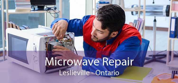 Microwave Repair Leslieville - Ontario