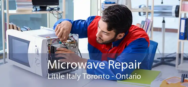 Microwave Repair Little Italy Toronto - Ontario