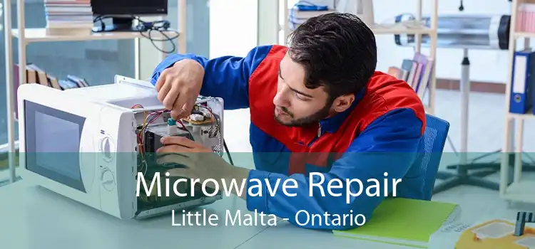 Microwave Repair Little Malta - Ontario