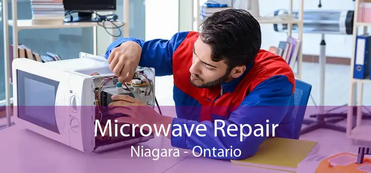 Microwave Repair Niagara - Ontario
