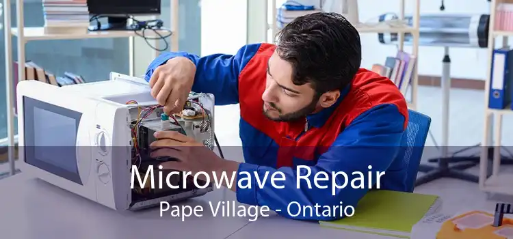 Microwave Repair Pape Village - Ontario