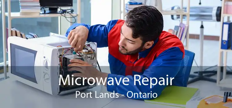Microwave Repair Port Lands - Ontario