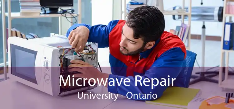 Microwave Repair University - Ontario