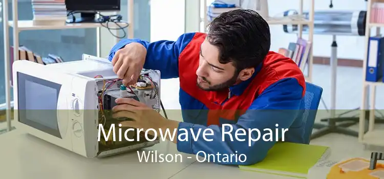 Microwave Repair Wilson - Ontario