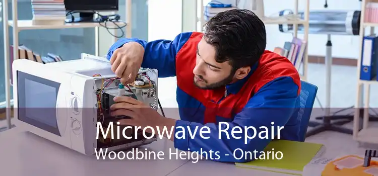 Microwave Repair Woodbine Heights - Ontario