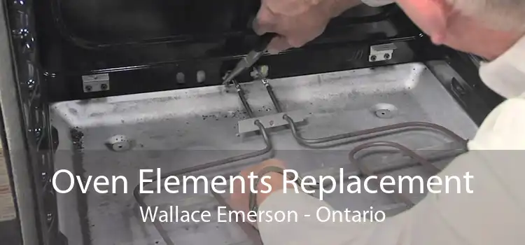 Oven Elements Replacement Wallace Emerson - Ontario