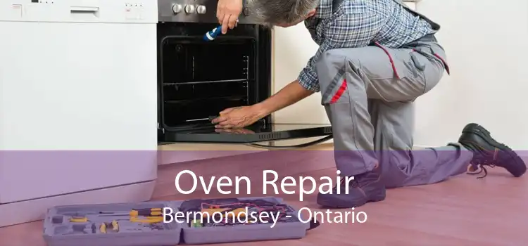 Oven Repair Bermondsey - Ontario