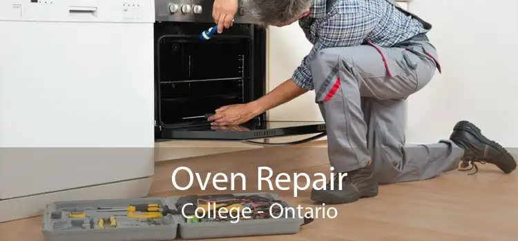 Oven Repair College - Ontario
