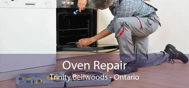 Oven Repair Trinity Bellwoods - Ontario
