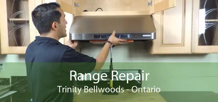 Range Repair Trinity Bellwoods - Ontario