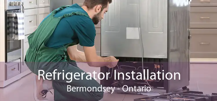 Refrigerator Installation Bermondsey - Ontario