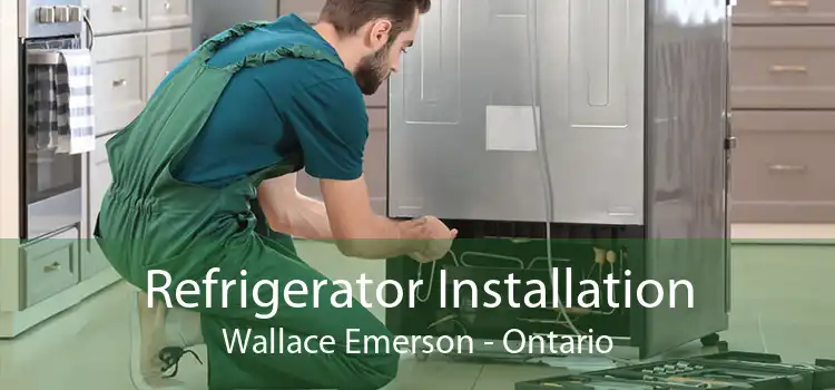 Refrigerator Installation Wallace Emerson - Ontario