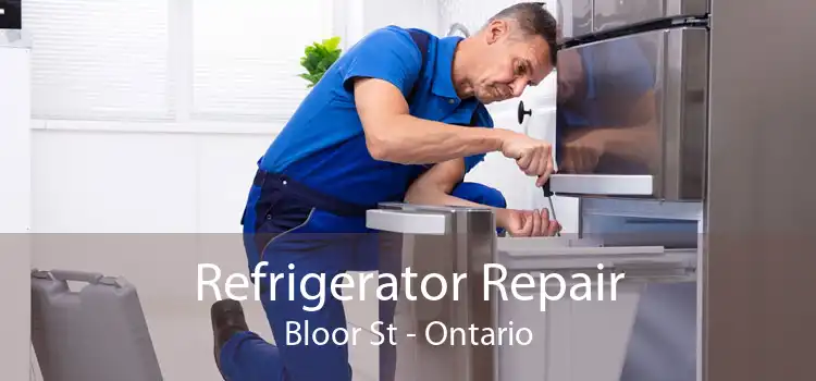 Refrigerator Repair Bloor St - Ontario