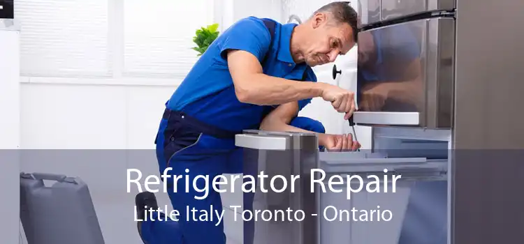 Refrigerator Repair Little Italy Toronto - Ontario