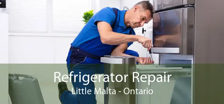 Refrigerator Repair Little Malta - Ontario