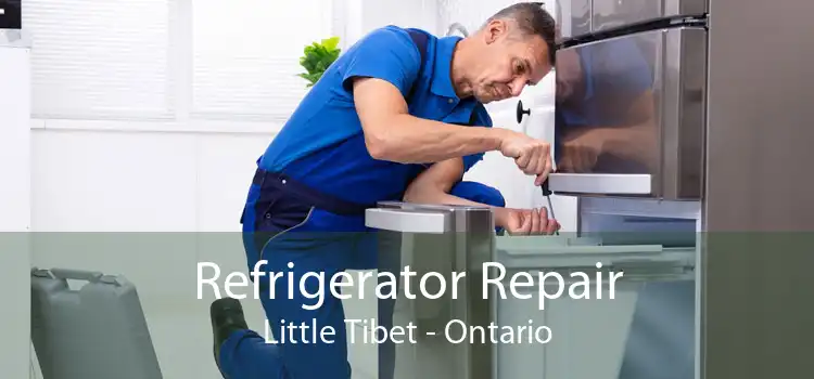 Refrigerator Repair Little Tibet - Ontario