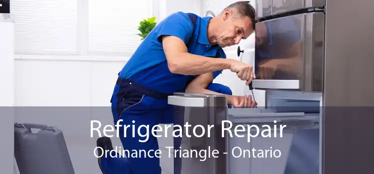 Refrigerator Repair Ordinance Triangle - Ontario