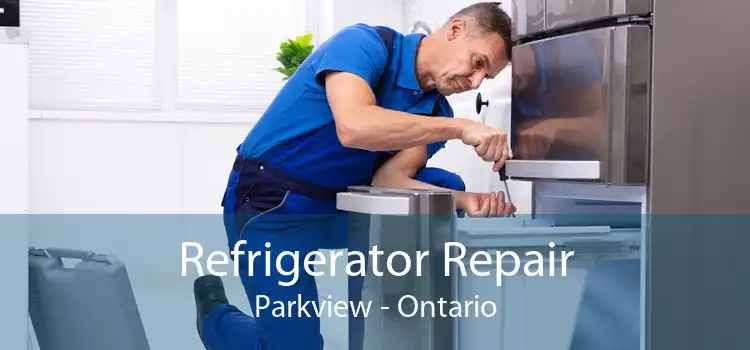Refrigerator Repair Parkview - Ontario