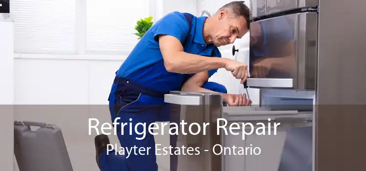 Refrigerator Repair Playter Estates - Ontario