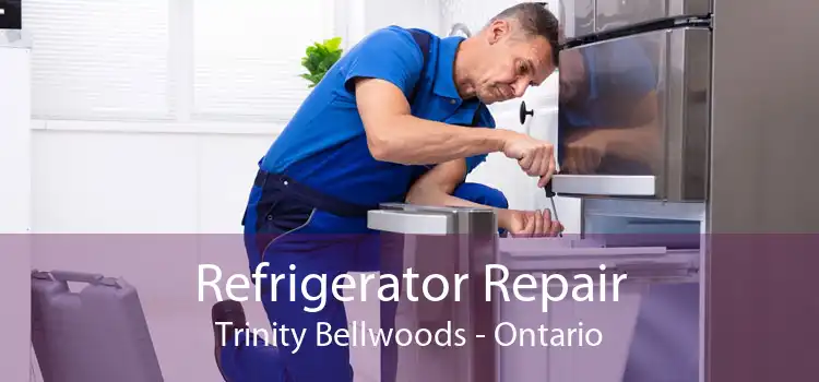 Refrigerator Repair Trinity Bellwoods - Ontario