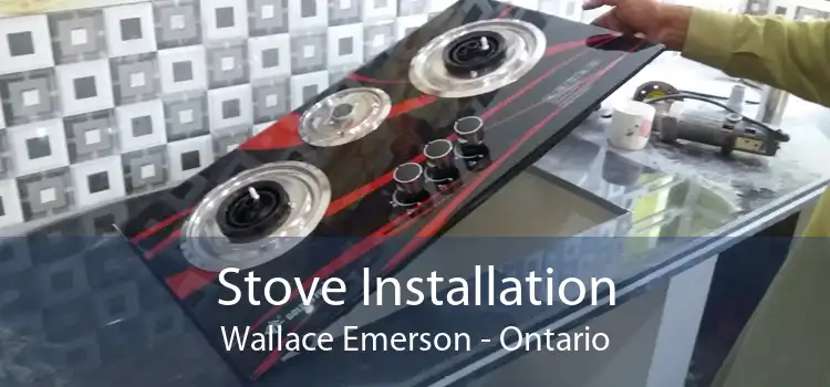 Stove Installation Wallace Emerson - Ontario
