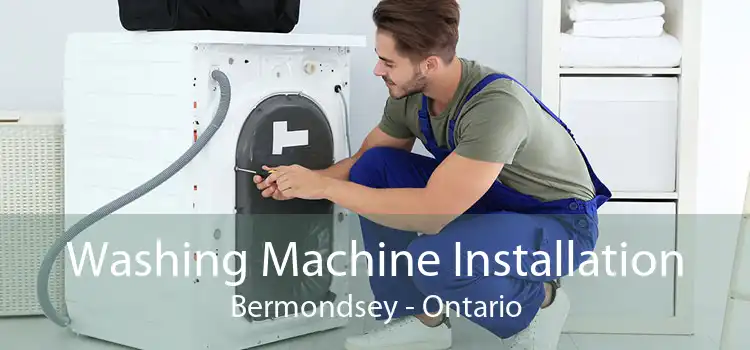 Washing Machine Installation Bermondsey - Ontario