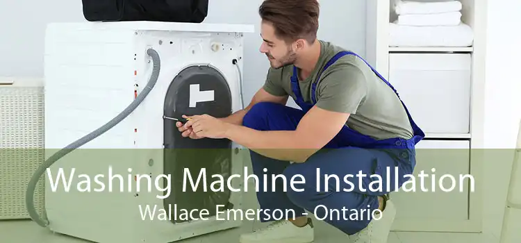 Washing Machine Installation Wallace Emerson - Ontario