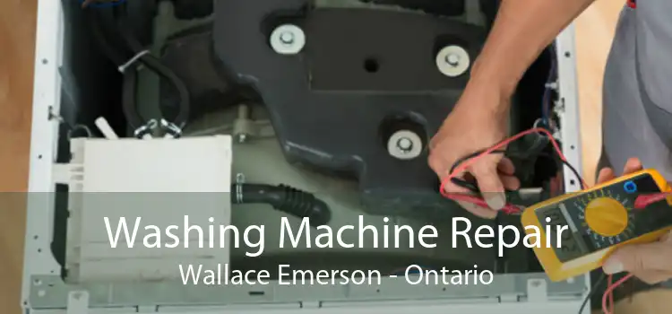 Washing Machine Repair Wallace Emerson - Ontario