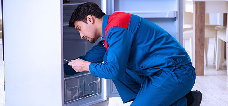 Electrolux Freezer Repair Services in Toronto